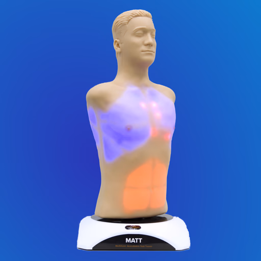 Medical training manikin torso with illuminated lungs and abdomen for CPR practice.