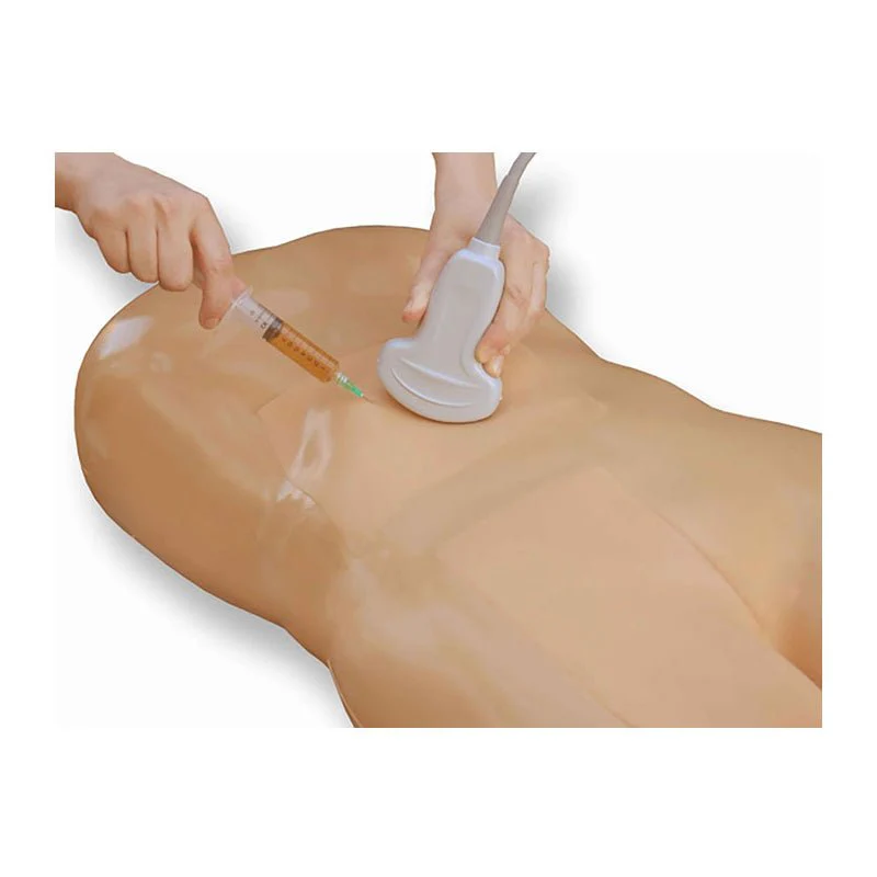ultrasound-guided injection or biopsy training manikin torso with an ultrasound probe and needle inserted