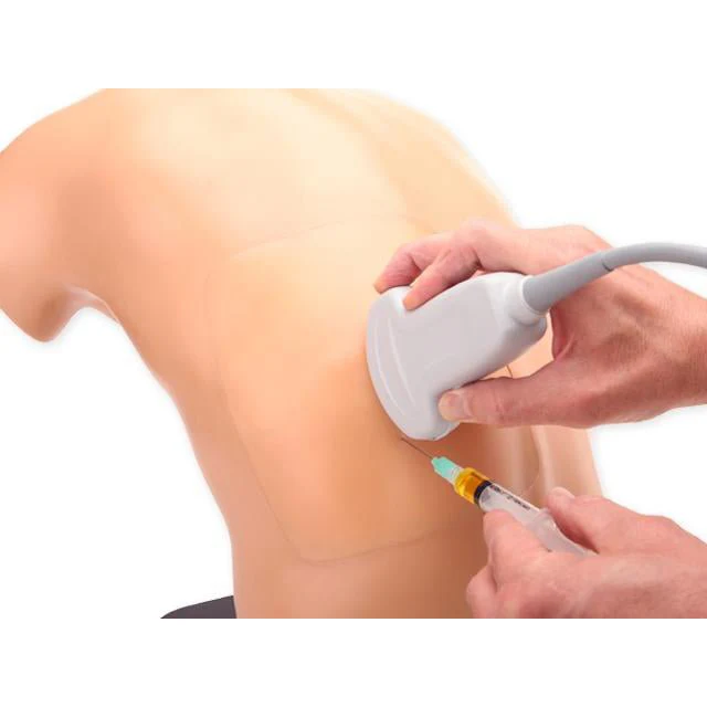 medical manikin torso, viewed from the back, with lighter-colored pads for practicing procedures like injections or spinal taps