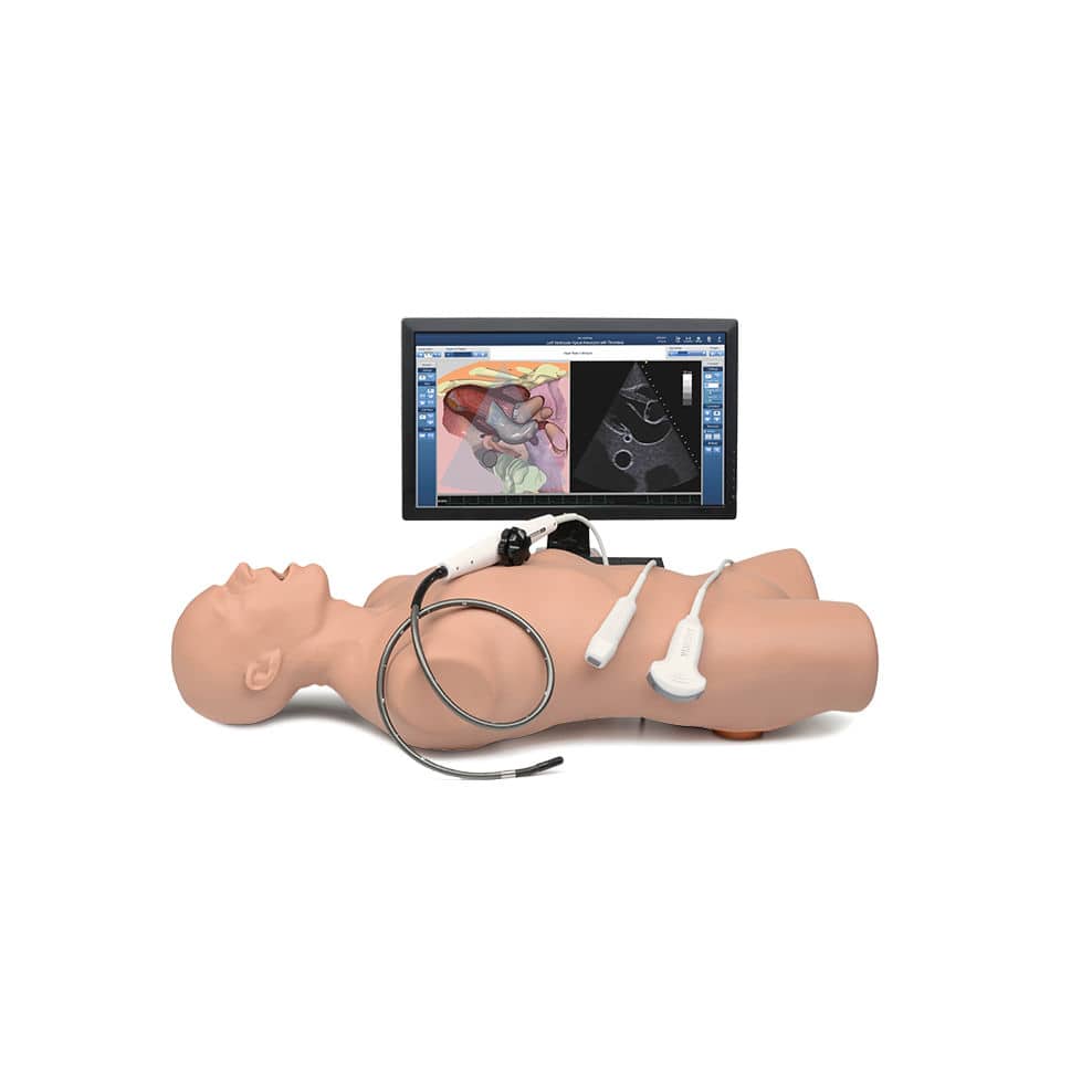 Medical training manikin with a detached monitor showing ultrasound images for diagnostic practice.