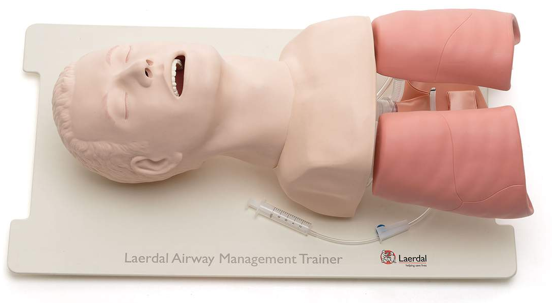 medical training manikin torso with an open mouth and tube visible, for practicing airway management or intubation