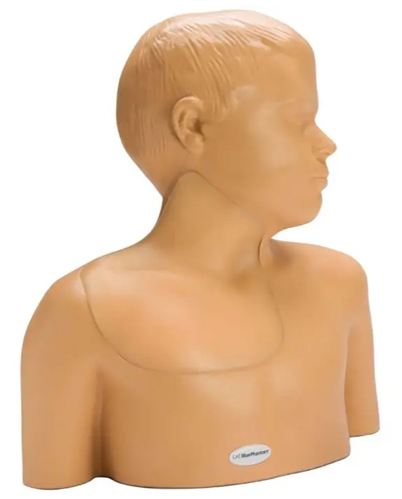 medical training manikin of a child's upper torso and head, used for practicing pediatric procedures like CPR or airway management